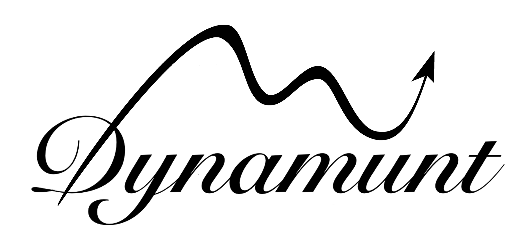 Dynamunt Logo transparent long